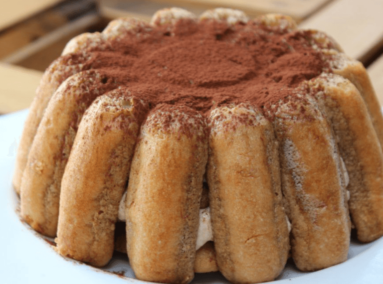 Mini Charlottes Tiramisu