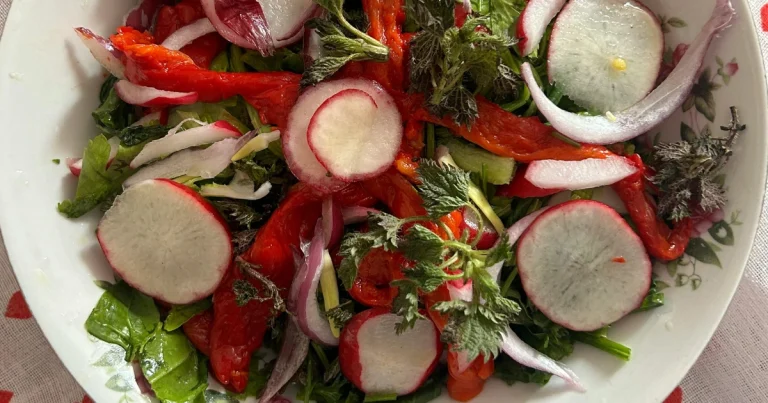 Salade de Mâche